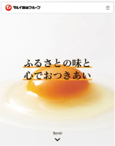 マルイ農協グループの制作資料として保存されたサイト画面