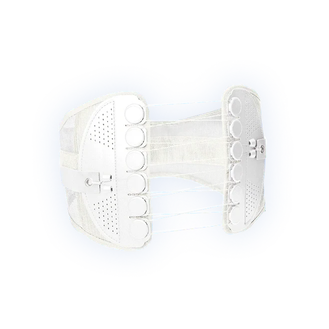 ガードナーベルト ホワイトの製品画像